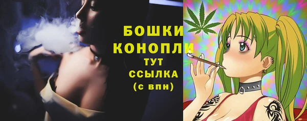 молекула духа Рославль