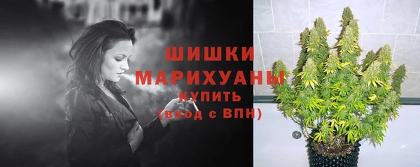 молекула духа Рославль