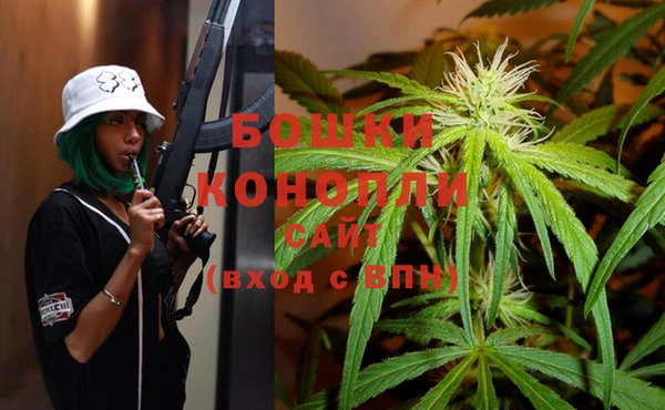сатива Россошь