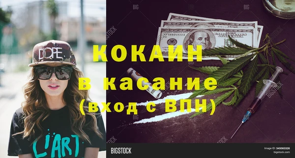 сатива Россошь
