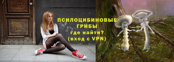 соль ск Ростов