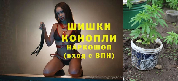 сатива Россошь