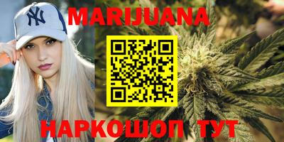 крисы Дубна