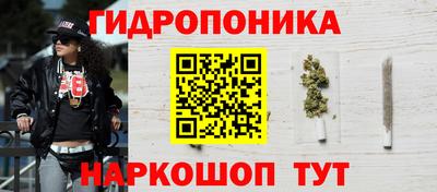 крисы Дубна