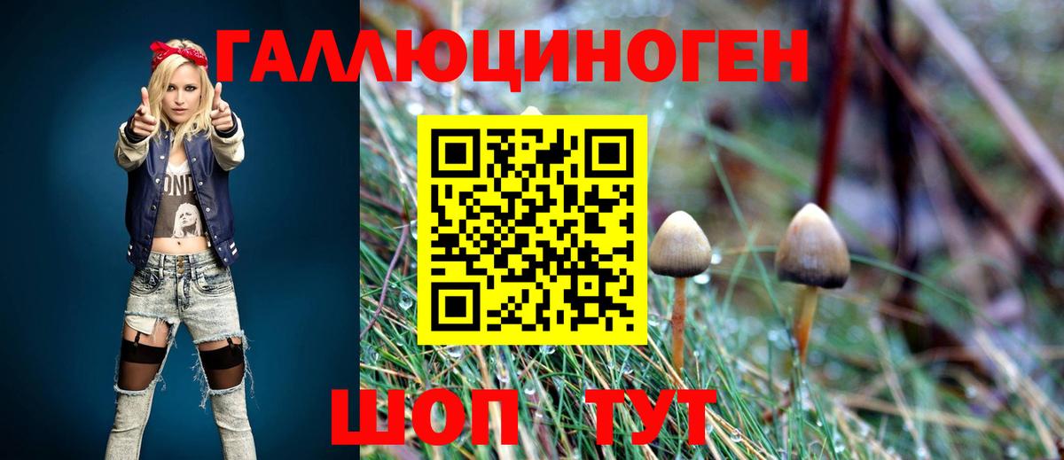 Псилоцибиновые грибы ЛСД  Вход с VPN  Псилоцибиновые грибы прущие грибы  Сегежа 